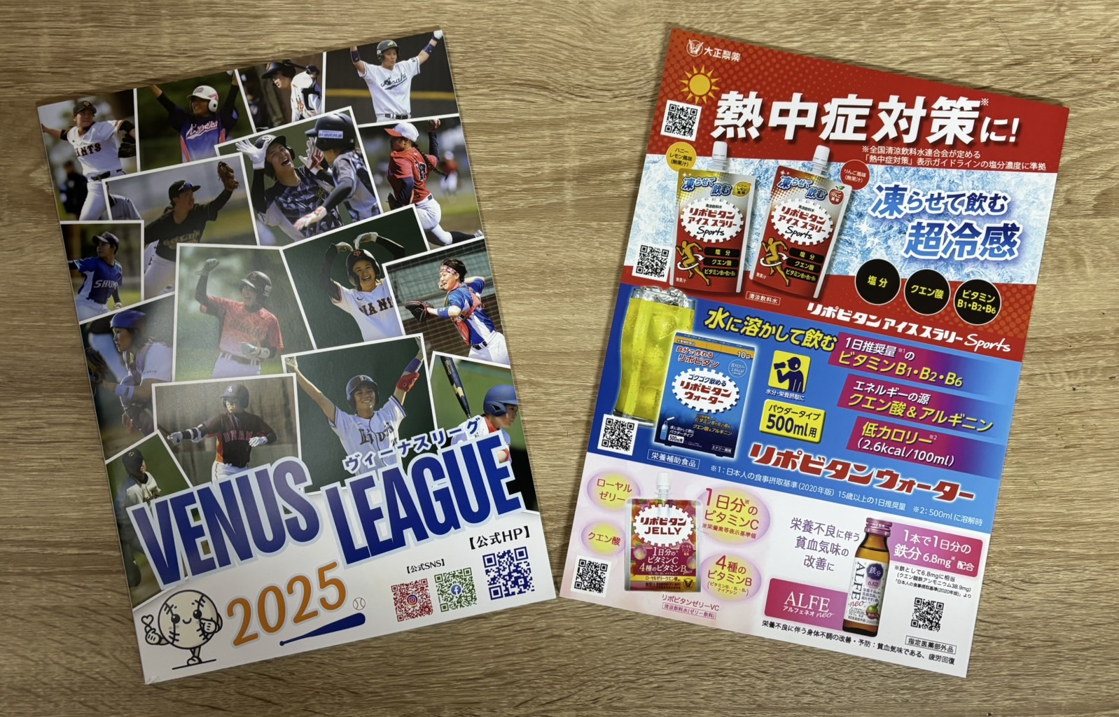 2025年度ヴィーナスリーグパンフレット販売開始！