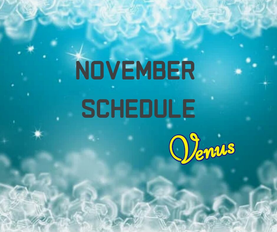 11月日程